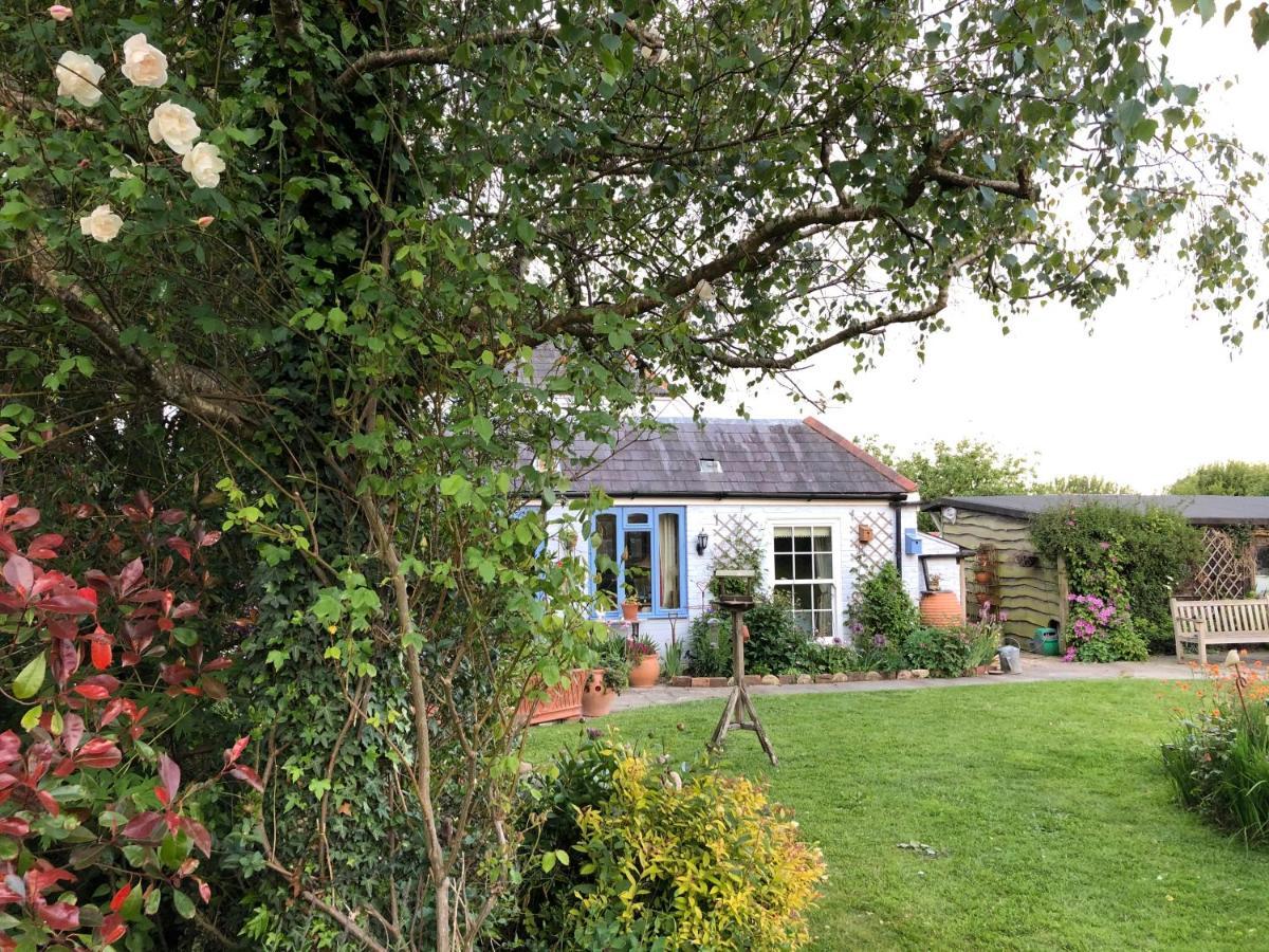 Plovers Cottage Chichester Exteriör bild